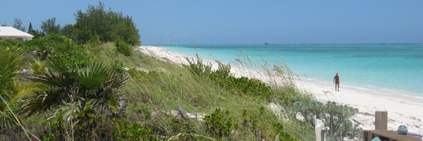 Whitby Beach North Cacios