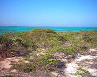 Platico Point